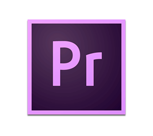 Adobe Premiere Pro CC 2019经典课程