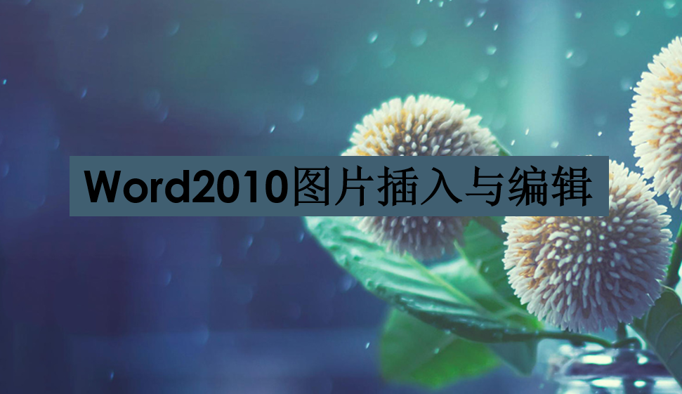  Word2010图片的编辑与美化