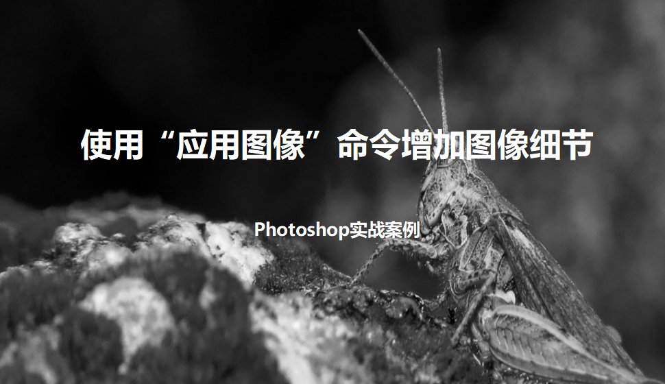 photoshop 使用“应用图像”命令增加图像细节