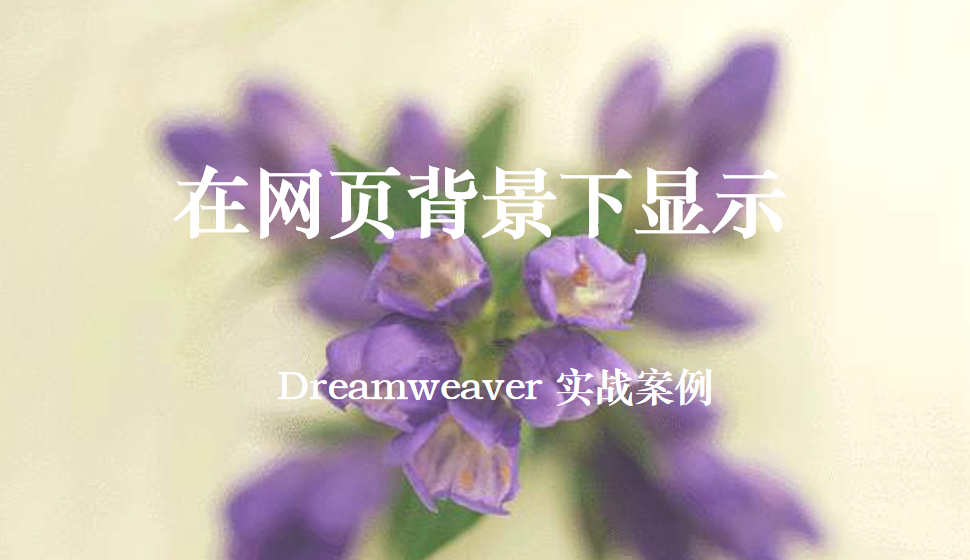  Dreamweaver 在网页背景下显示