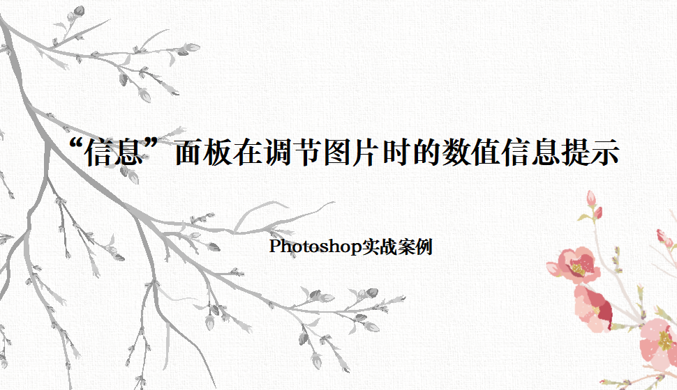 Photoshop “信息”面板在调节图片时的数值信息提示