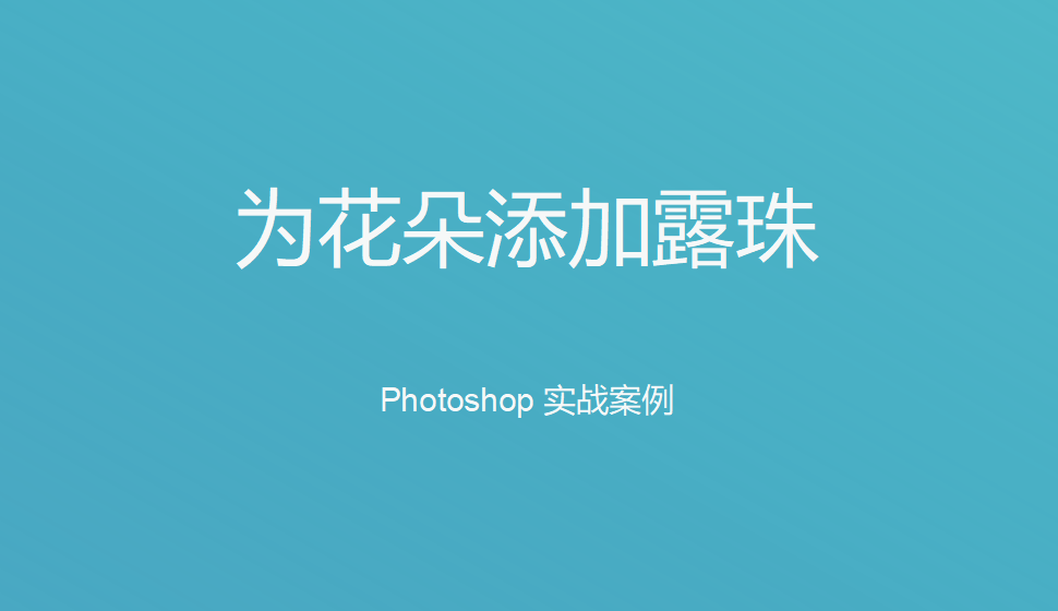 Photoshop 为花朵添加露珠