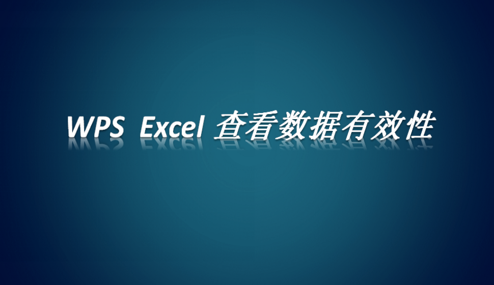 WPS  Excel 查看数据有效性