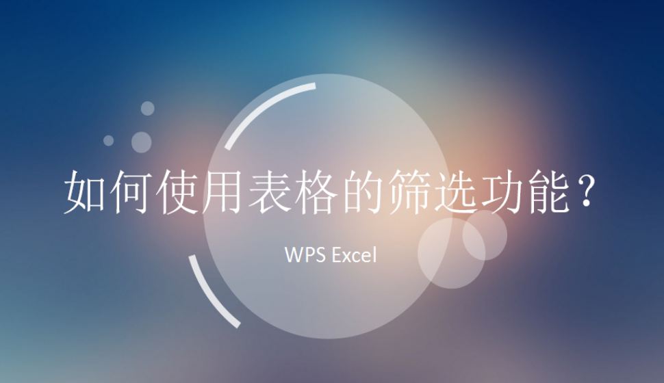 WPS Excel 如何使用表格的筛选功能？