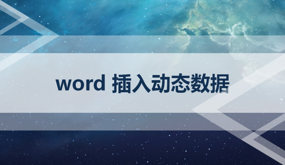 word 插入动态数据