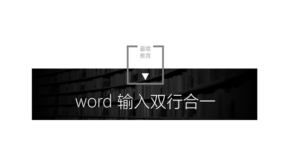 word 输入双行合一