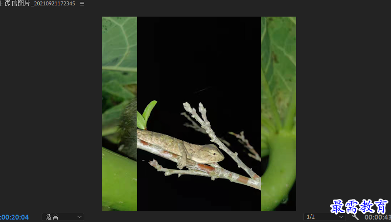 双3.PNG