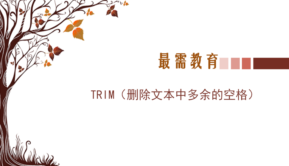 TRIM（删除文本中多余的空格）