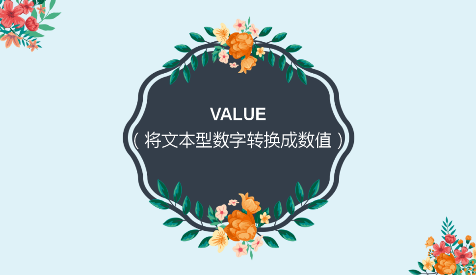 VALUE（将文本型数字转换成数值）