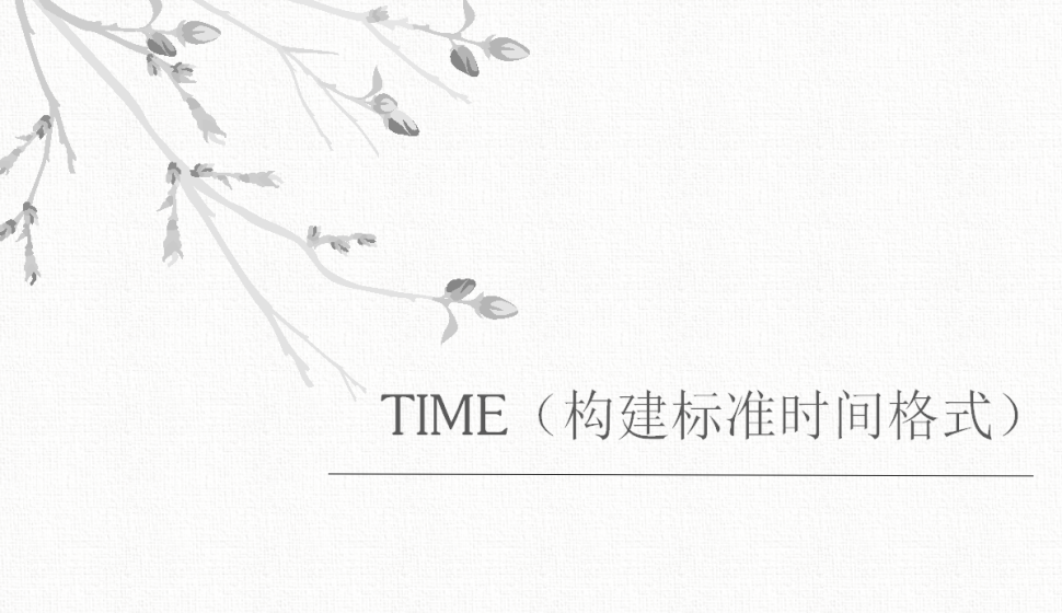 TIME（构建标准时间格式）