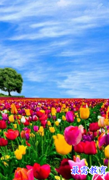 1651939700337419.png image.png