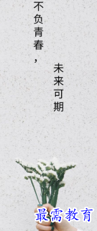 1652021980367506.png image.png