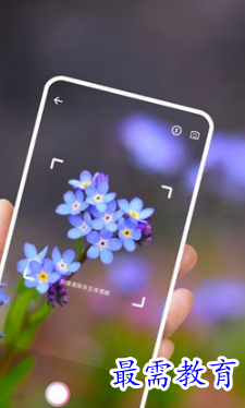 拍照识别植物软件app手机版下载 v1.0.0
