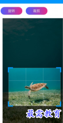 1652350535556944.png image.png