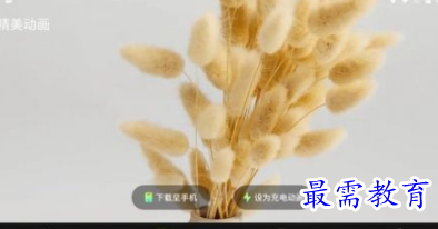 1652486032929889.png image.png