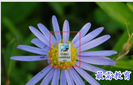 image.png