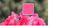 1655711483221182.png image.png