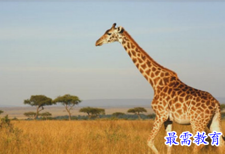 1657425565258116.png image.png