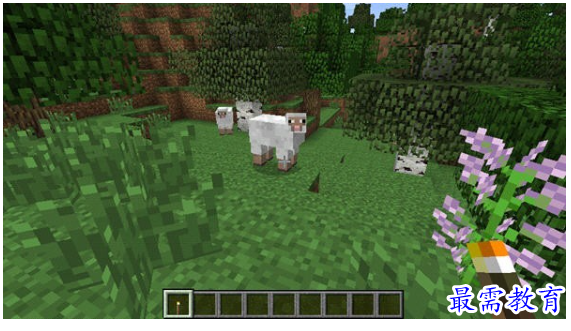 image.png