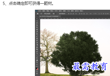 1660178771758237.png image.png