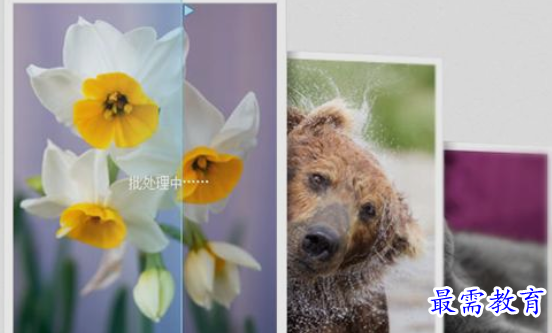 1660297540489032.png image.png