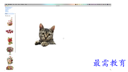 image.png