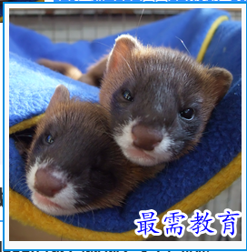 1679315324183906.png image.png
