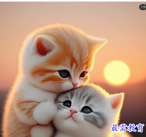 1680656463169094.png image.png