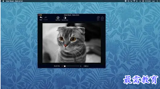 1680663522255019.png image.png