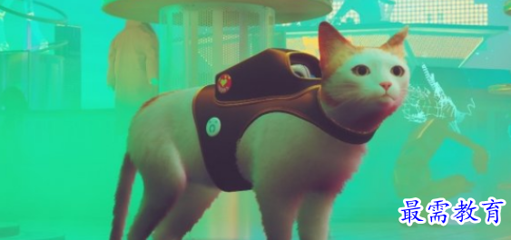 1699681825592224.png image.png