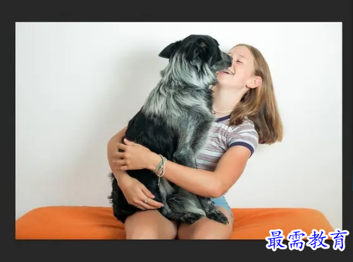 1701510396911722.png image.png