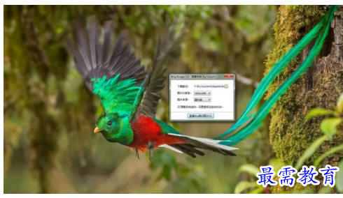 image.png