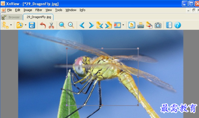 image.png