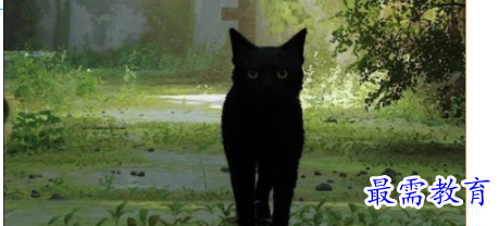 1708422966489802.png image.png