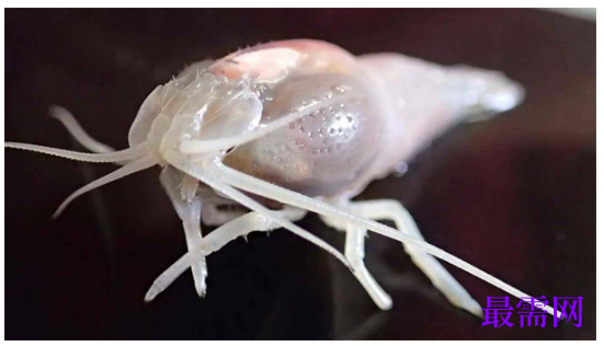 1763714057639989.png image.png