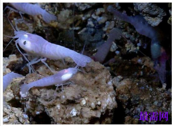 1763714063274078.png image.png