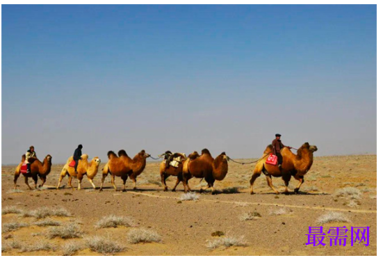 1763714172344601.png image.png