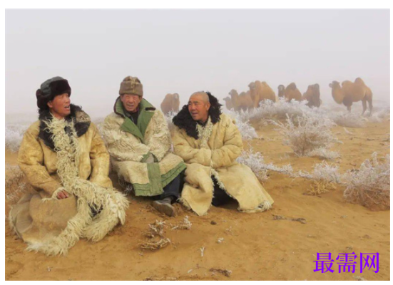 1763714179968491.png image.png