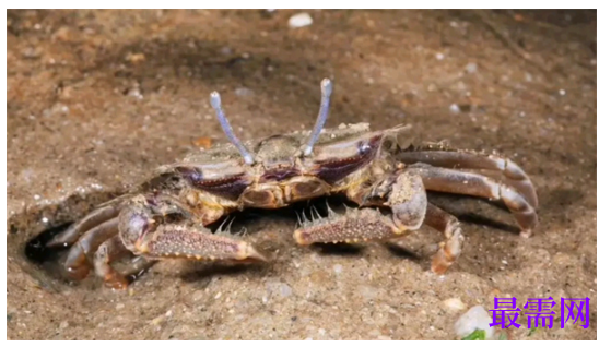 1763714419890439.png image.png