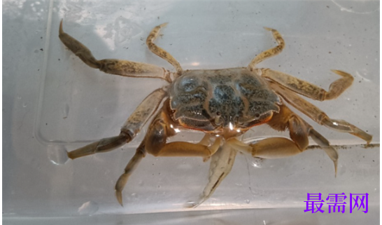 1763714426281562.png image.png