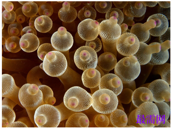 1763714543893682.png image.png