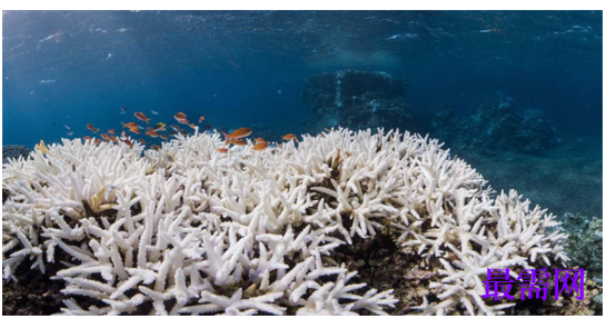 1763714691178538.png image.png