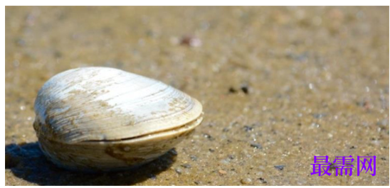 1763714800729801.png image.png