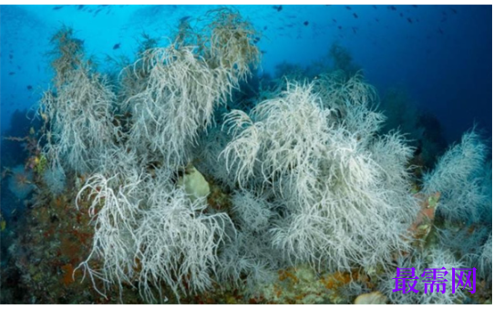 1763714899178043.png image.png