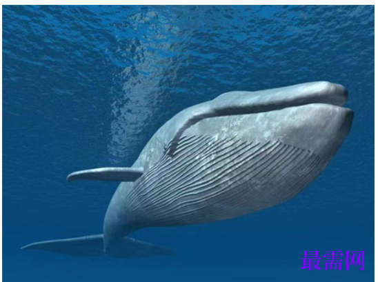 1763715152157937.png image.png