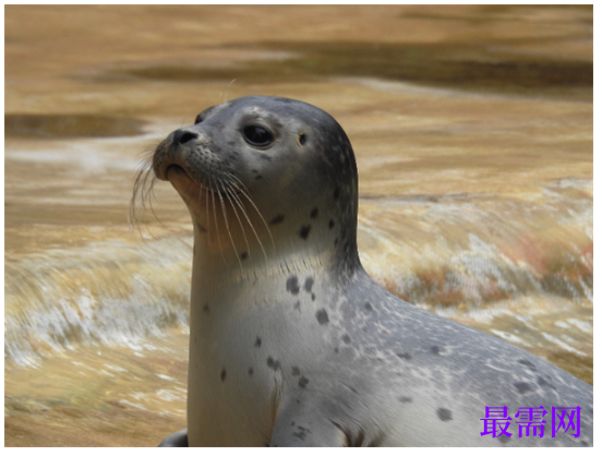 1763715254761021.png image.png