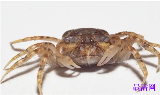 1763715537687628.png image.png