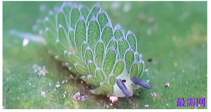 1763716318484585.png image.png