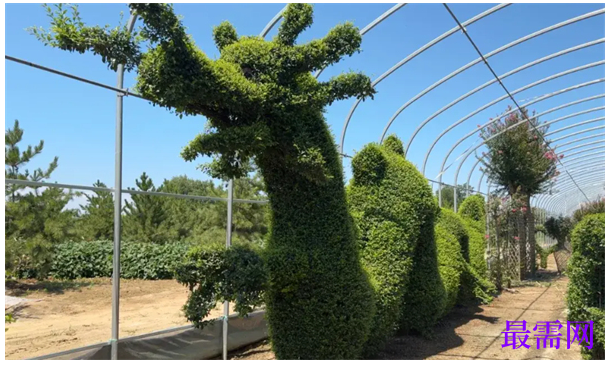 1763716784351826.png image.png