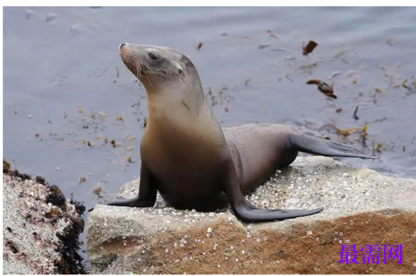 1763716935633048.png image.png